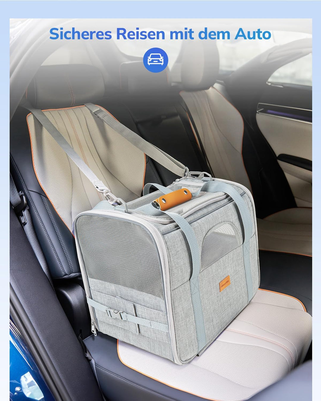 Morpilot Transporttasche für Katze mit Rollen, Faltbarer Katzentransportbox Hundetragetasche Transpo