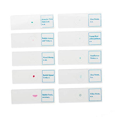 SWIFT 50 Vorgefertigte Mikroskop-Dias Set für die Biologische Wissenschaft, mit Holzkoffer PS50, PS5