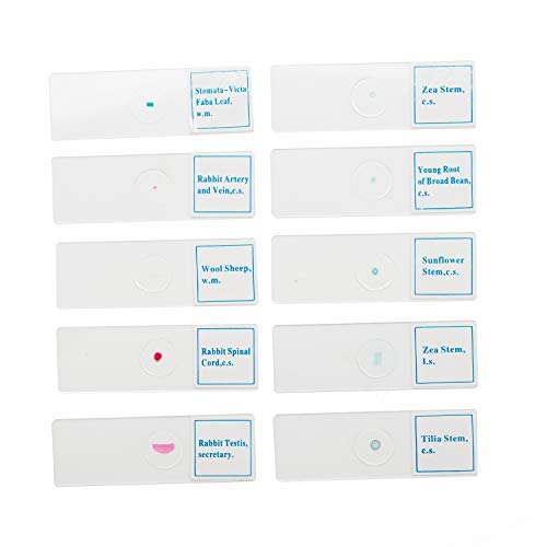 SWIFT 50 Vorgefertigte Mikroskop-Dias Set für die Biologische Wissenschaft, mit Holzkoffer PS50, PS5