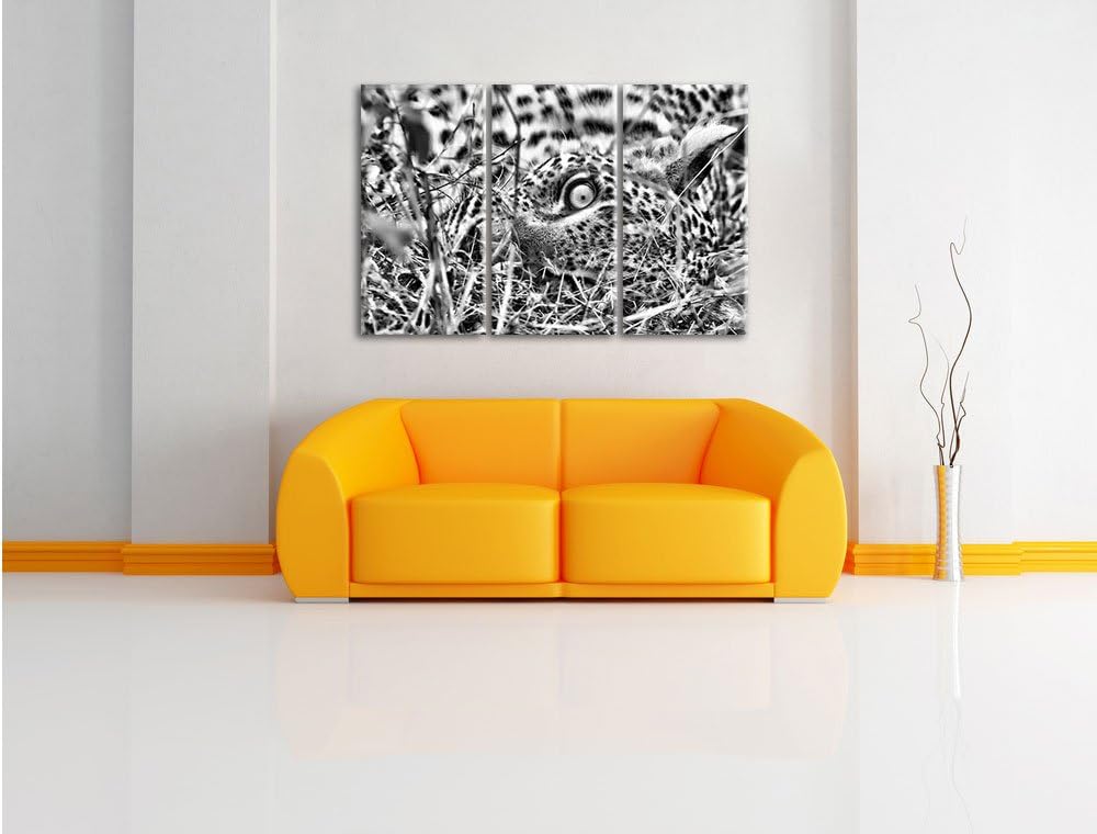 Pixxprint Leopard als Leinwandbild/Grösse: 3 Teilig (120x80) cm/Wandbild/Kunstdruck/fertig bespannt