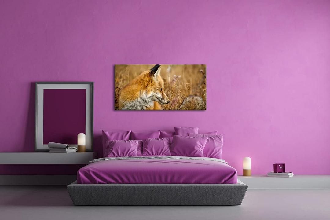 Kleiner Fuchs im Getreidefeld Panorama 80x40 cm als Leinwandbild, Motiv fertig gerahmt auf Echtholzr