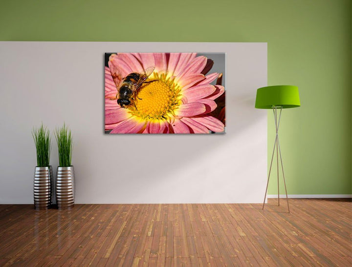 winzige Biene auf Margarete schwarz/weiss auf Leinwand, XXL riesige Bilder fertig gerahmt mit Keilra