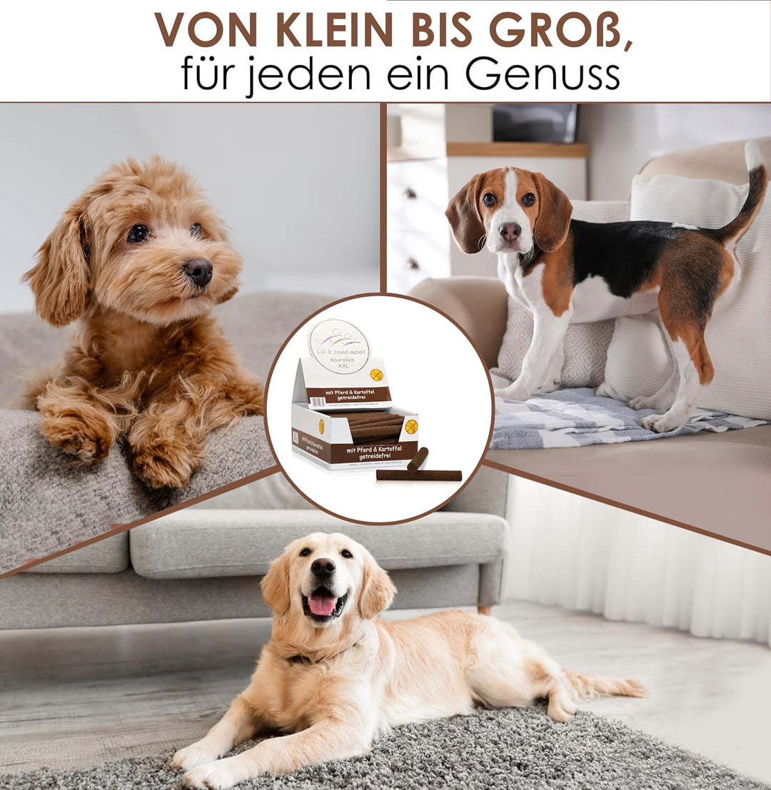 123... Hund dabei! - Kaurollen XXL 50er Tray (Pferd) - Dentalkaurolle - Getreidefrei - Vorteilspaket
