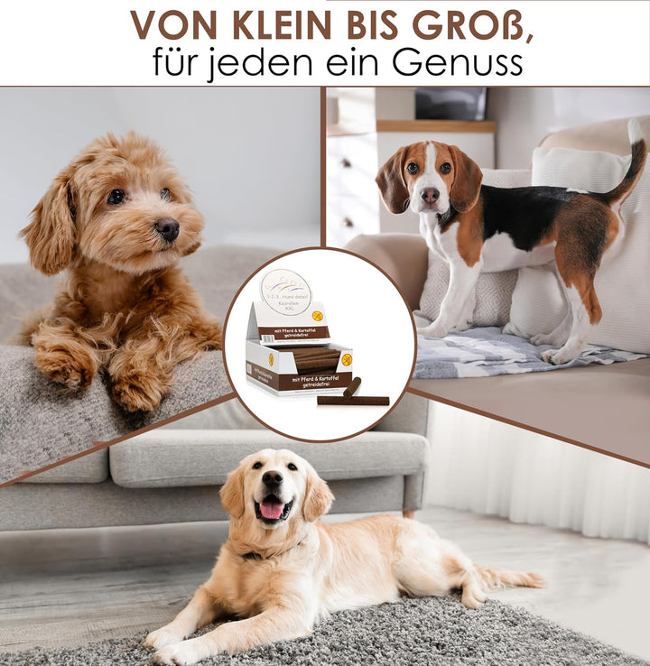 123... Hund dabei! - Kaurollen XXL 50er Tray (Pferd) - Dentalkaurolle - Getreidefrei - Vorteilspaket