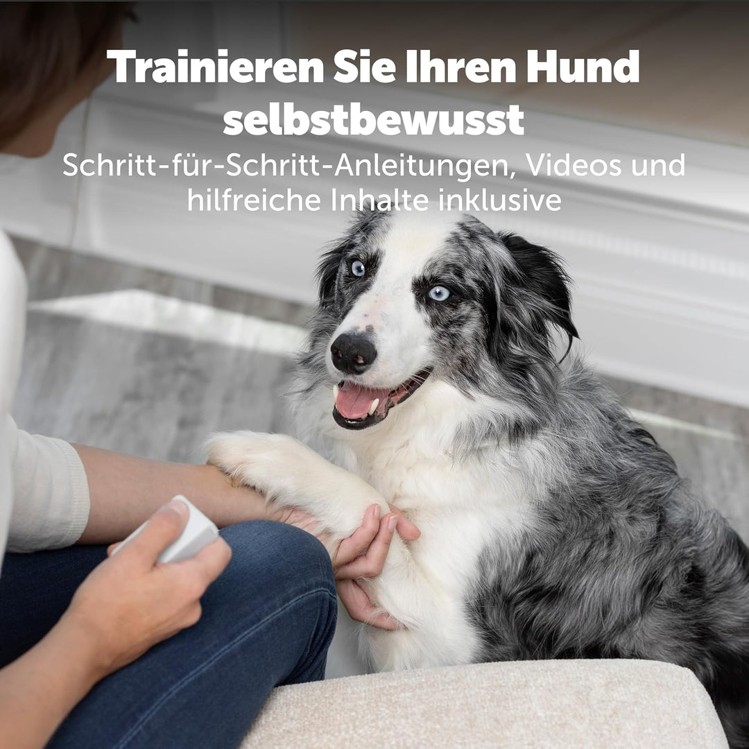 PetSafe Teach & Treat Ferngesteuerter Belohnungstrainer für Hunde, Training und positive Verstärkung