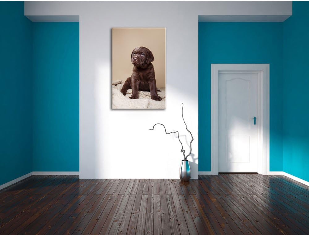 Pixxprint Hundewelpe auf Pullovern als Leinwandbild/Grösse: 100x70 cm/Wandbild/Kunstdruck/fertig bes