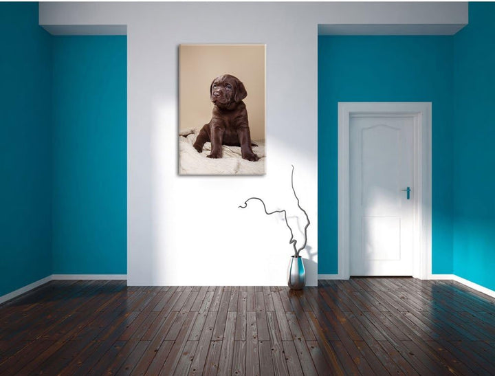 Pixxprint Hundewelpe auf Pullovern als Leinwandbild/Grösse: 100x70 cm/Wandbild/Kunstdruck/fertig bes