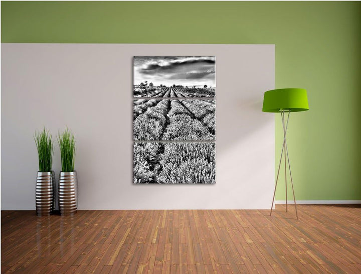 Pixxprint Lavendelfeld Provence als Leinwandbild/Grösse: 3 Teilig (120x80) cm/Wandbild/Kunstdruck/fe