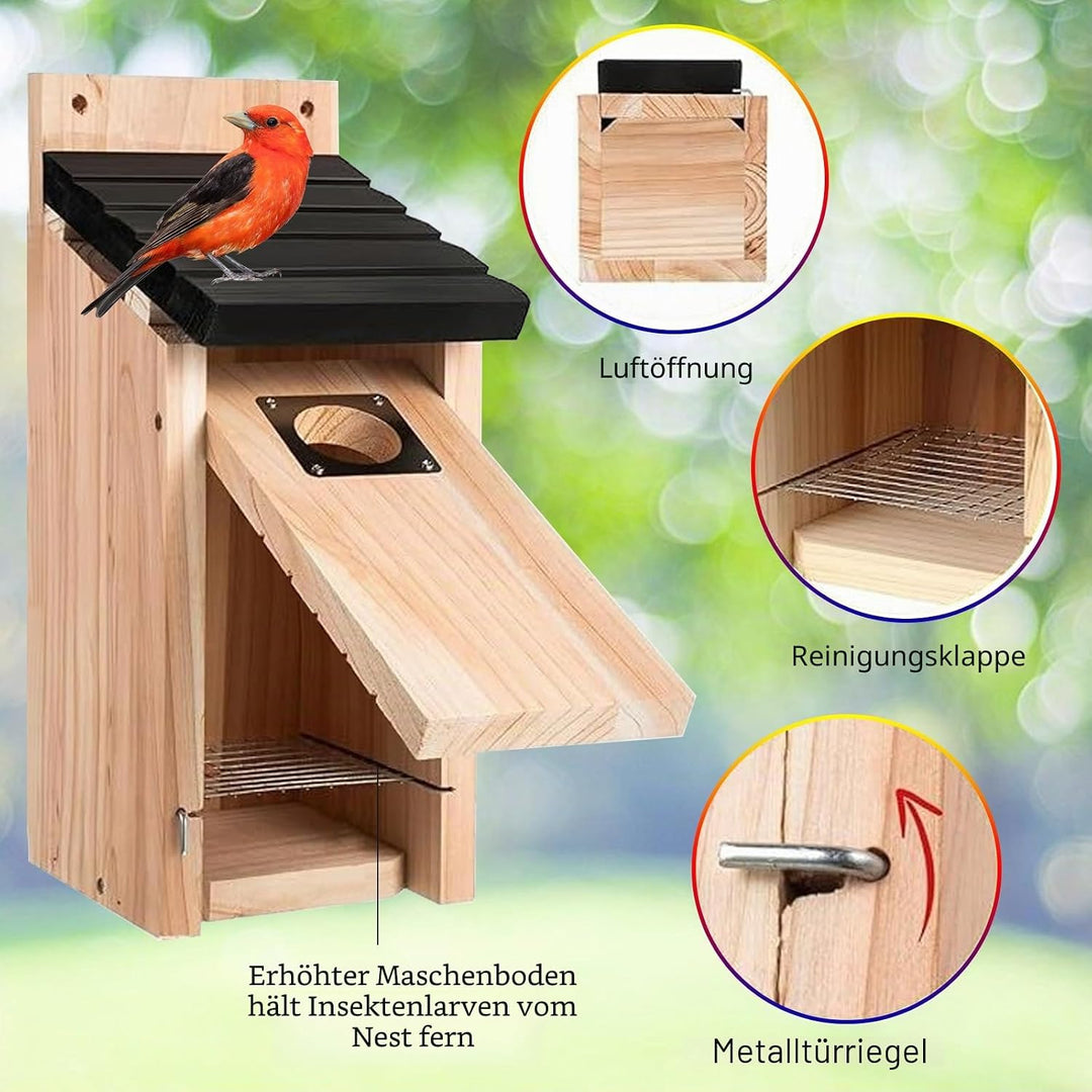 Nistkasten für Vögel für Draussen Wetterfest, Hölzernes Vogelhaus zum Aufhängen mit Raubvogel-Schutz