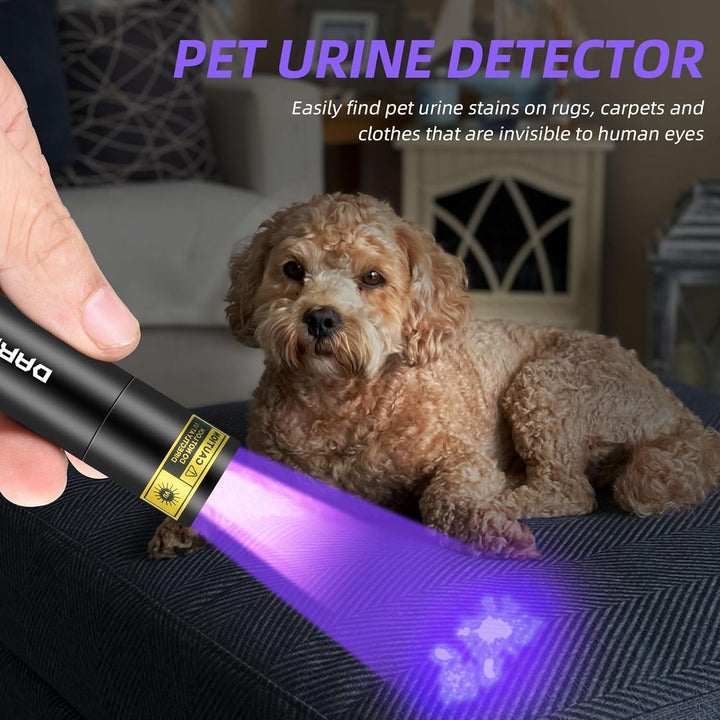 DARKBEAM UV Taschenlampe 365nm Schwarzlicht und 395nm Licht Aufladbar USB, Mini Ultraviolett LED Lic