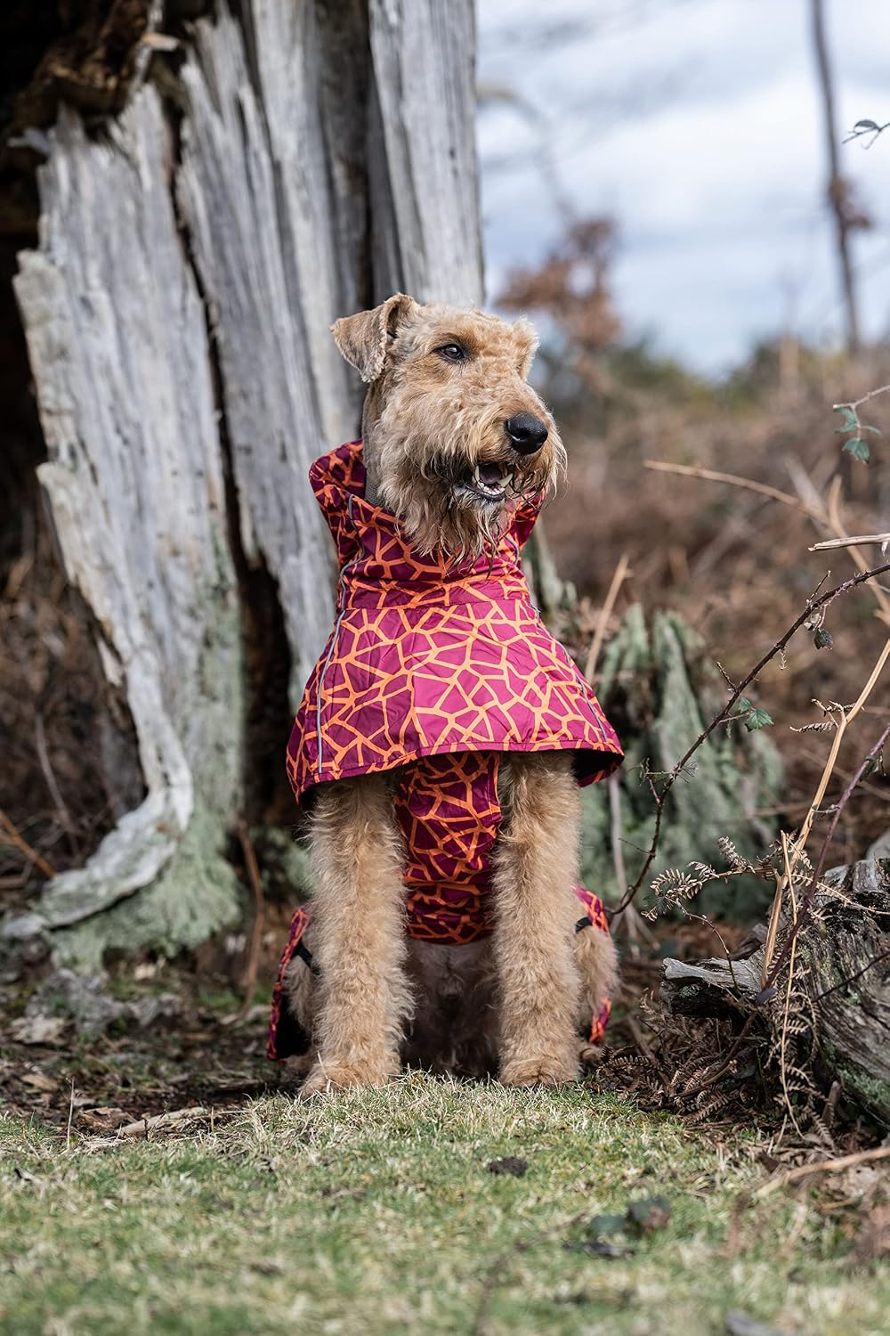 Rukka Pets HAYTON WARM Raincoat Regenmantel für Hunde Karminrot 60 60 Karminrot, 60 Karminrot