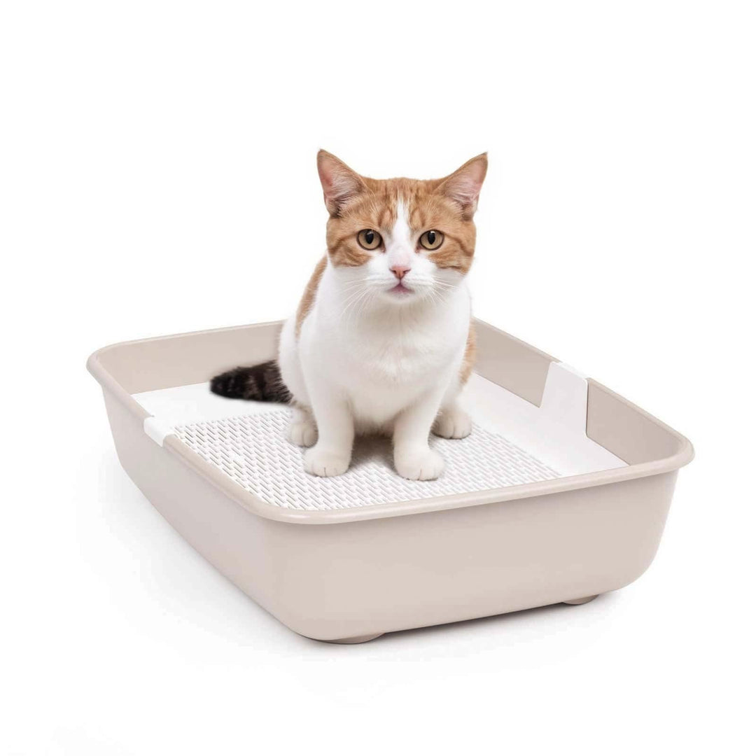 Schalentoilette Katzentoilette mit Reinigungssieb Katzenklo Gross Beige