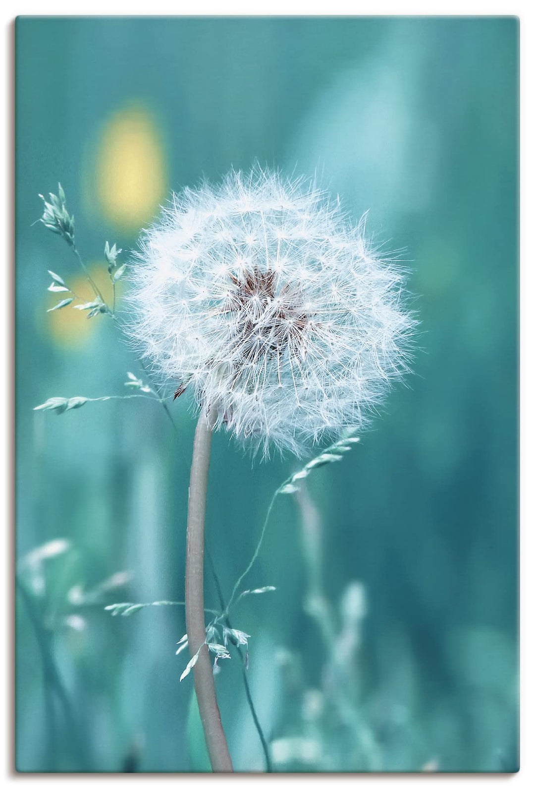 ARTland Leinwandbilder Wandbild Bild auf Leinwand 40 x 60 cm Wanddeko Botanik Mikro Makro Pflanzen B