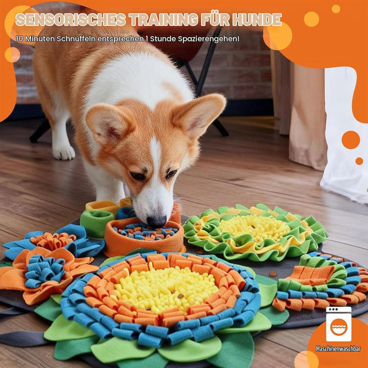Hund Schnüffelteppich, Schnüffelteppich für Hunde Waschbar Schnüffelmatte Trainingsmatte Riechen Tra