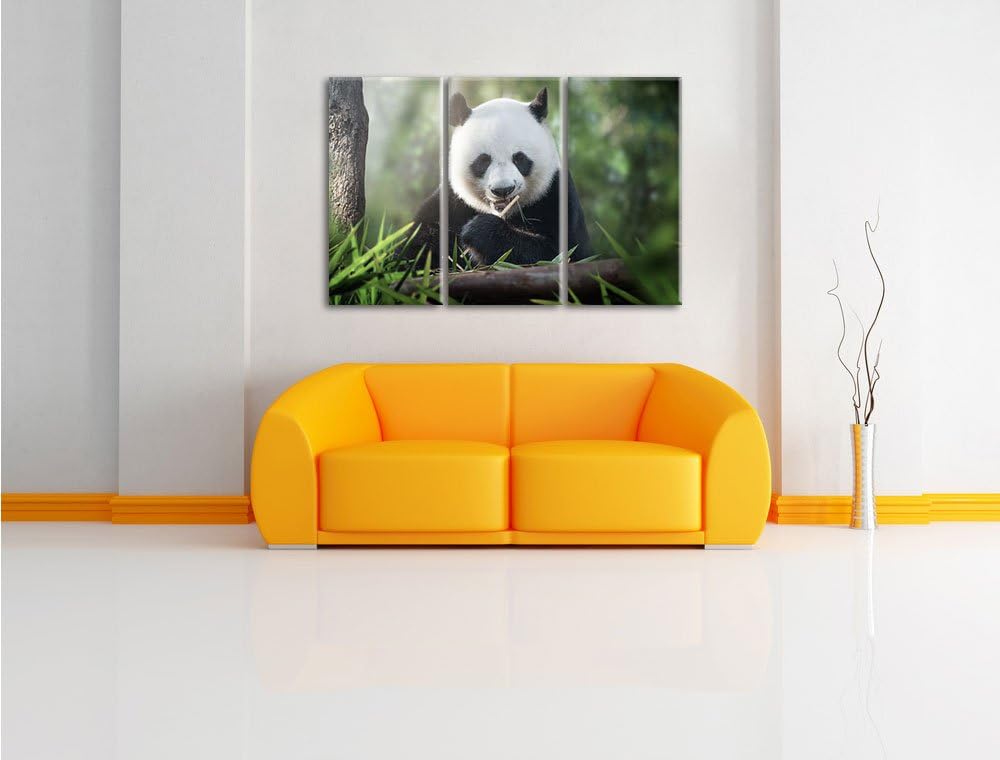 Pixxprint Niedlicher Panda isst Bambus als Leinwandbild - Grösse: 3-Teilig (120x80cm) - Wandbild - K