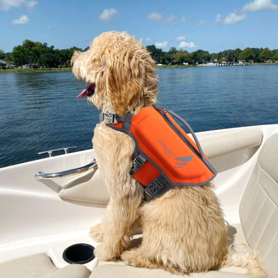 VIVAGLORY Leichte Rettungsweste für Hunde, Haustiere Lebensretter Hautfreundliche Neopren für Mittel