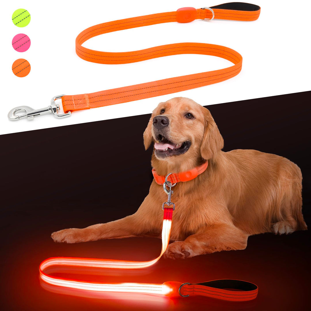 ChalkLit LED Hundeleine, Beleuchtete Hundeleine über USB Wiederaufladbar, 1,2 m, Weich Wasserdicht R