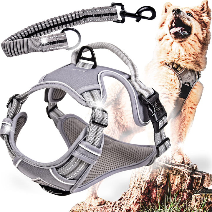 ne&amp;no® Hundegeschirr mit passenden Ruckdämpfer [Developed by NE&amp;NO] Hunde Geschirrset | Brustgeschir