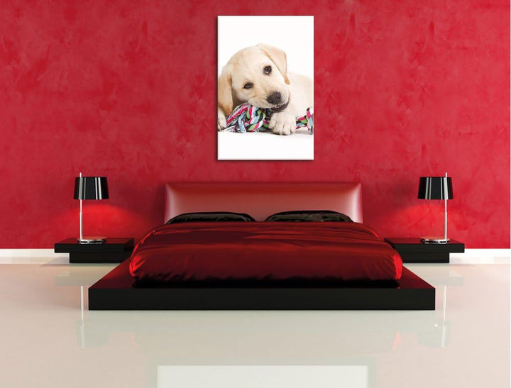 Pixxprint Hundewelpe, Format: 100x70 auf Leinwand, XXL riesige Bilder fertig gerahmt mit Keilrahmen,