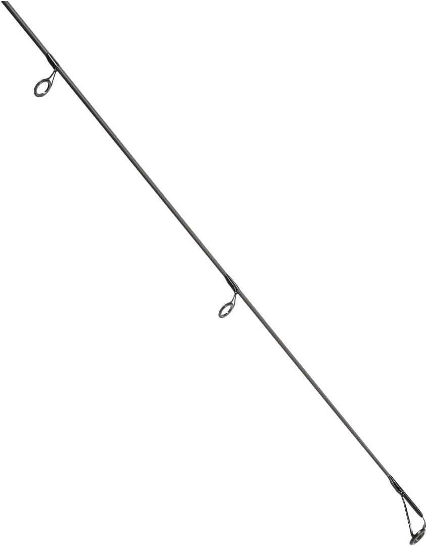 Daiwa D-Carp Karpfenrute Boilierute zum Karpfenangeln (13ft / 3,50lbs / 2-teilig)