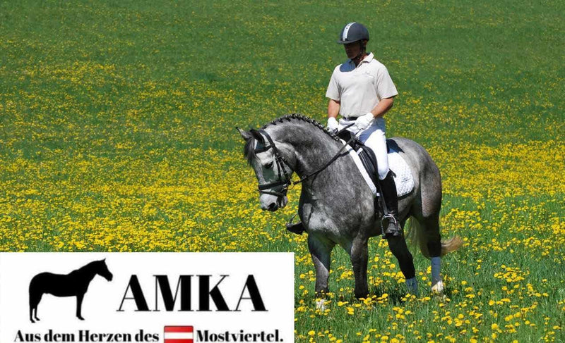 AMKA Lammfell Sattelsitzbezug für englisch Sättel aus 100% Lammfell komfortabel und weich L schwarz,