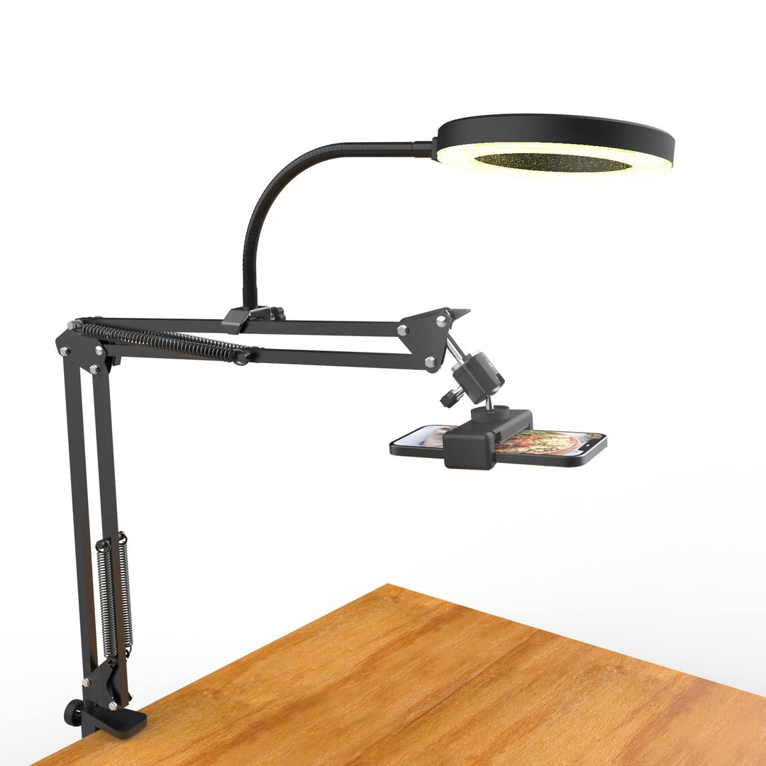 Overhead Stativ Handy mit Ringlicht, Flexibler Tisch Kamera Arm mit Licht, Flexible Tisch Kamera Arm