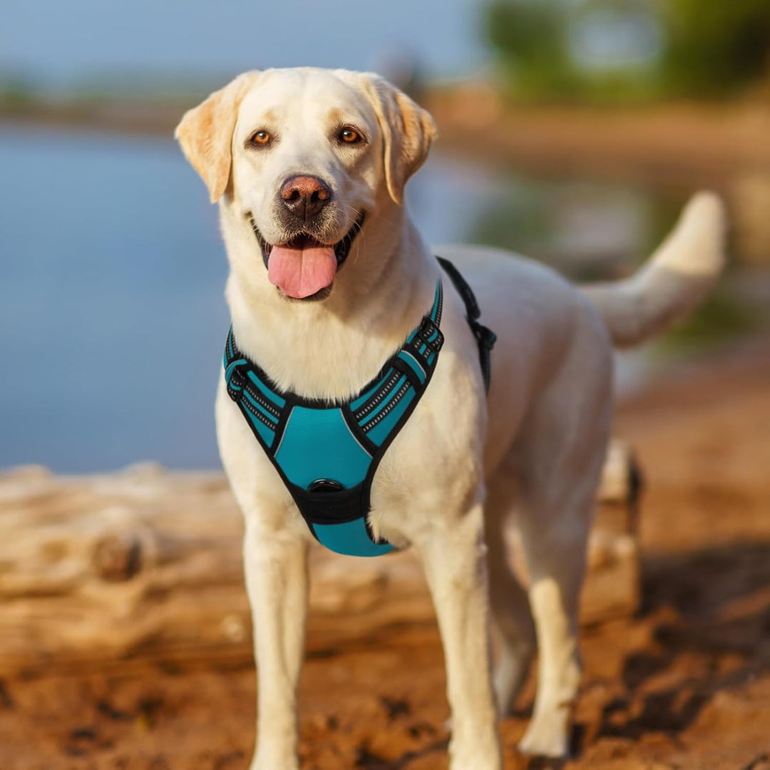 rabbitgoo Hundegeschirr Mittelgrosse Hunde, Anti Zug Geschirr mit Kontrolle, No Pull Verstellbar Hun