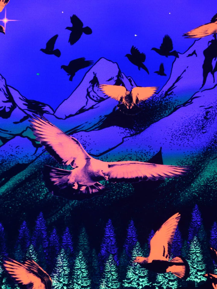 PSYWORK Schwarzlicht Stoffposter Neon | Chromadepth 3D Mountain Lake View | 0,6 x 0,9m | UV-aktiv |
