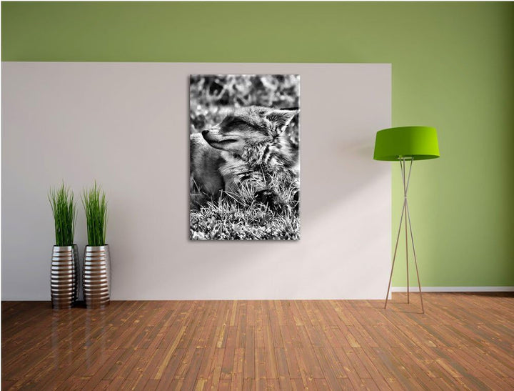 Monocrome, Fuchs im Gras, Format: 100x70 auf Leinwand, XXL riesige Bilder fertig gerahmt mit Keilrah