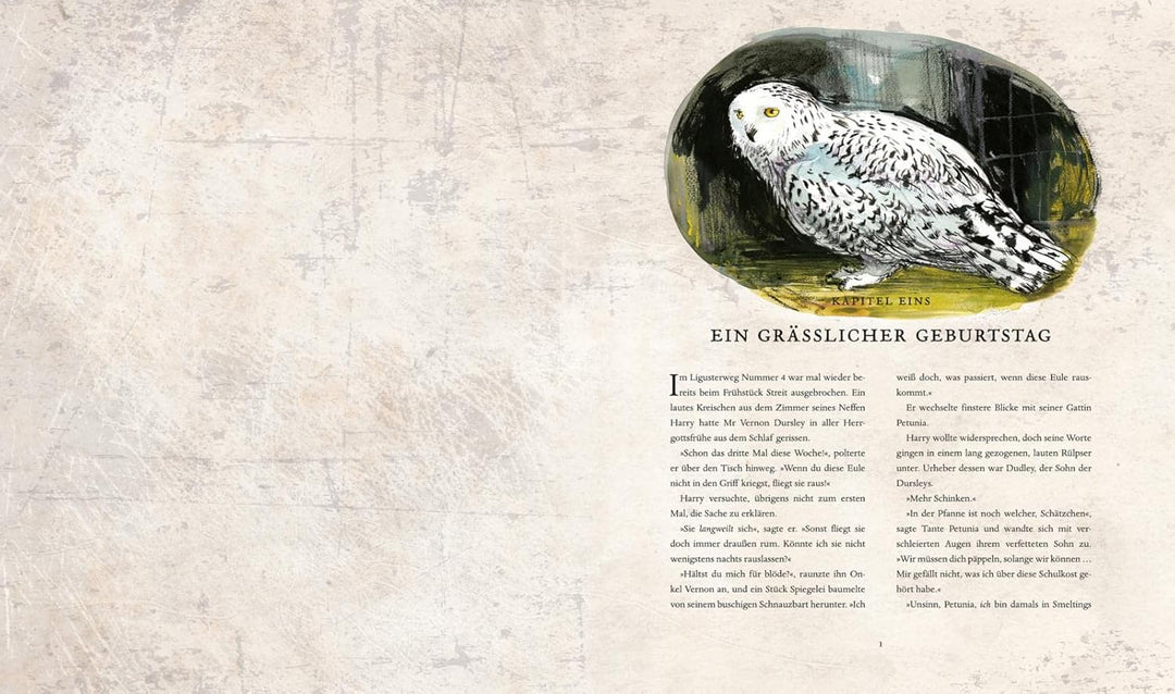 Harry Potter und die Kammer des Schreckens (Schmuckausgabe Harry Potter 2): Vierfarbig illustrierte