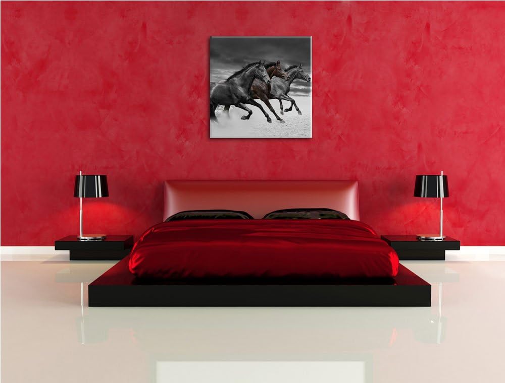 Pixxprint Westernpferde im Sand als Leinwandbild Quadratisch/Grösse: 70x70 / Wandbild/Kunstdruck/fer