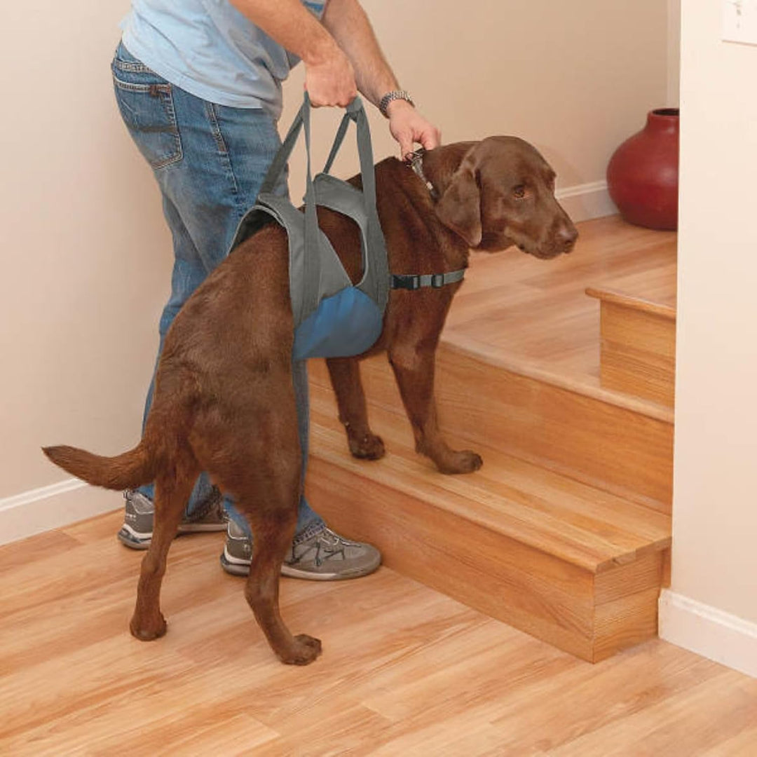 Kurgo Up and About Hebegeschirr für Hunde, ergonomisches Design, Hilft dem Hund beim Treppensteigen