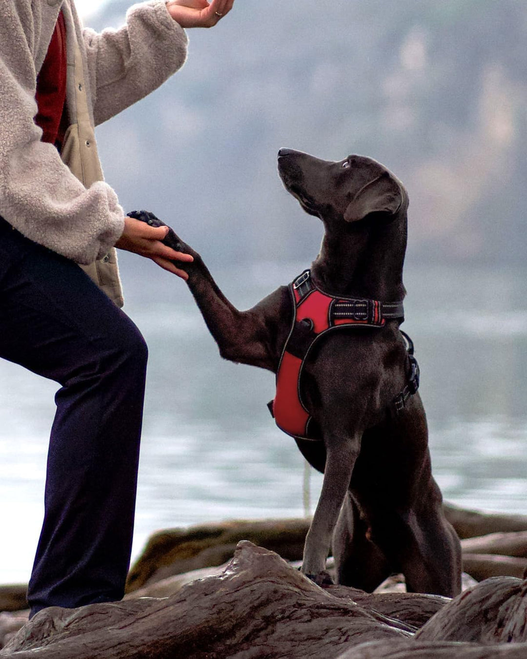 Joytale Hundegeschirr Grosse Hunde, reflektierendes Geschirr Hund, luftdurchlässige Anti Zug Hundege