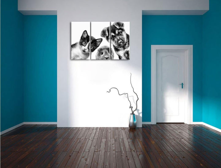Pixxprint Trio Hund Katze Meerschwein als Leinwandbild/Grösse: 3 Teilig (120x80) cm/Wandbild/Kunstdr