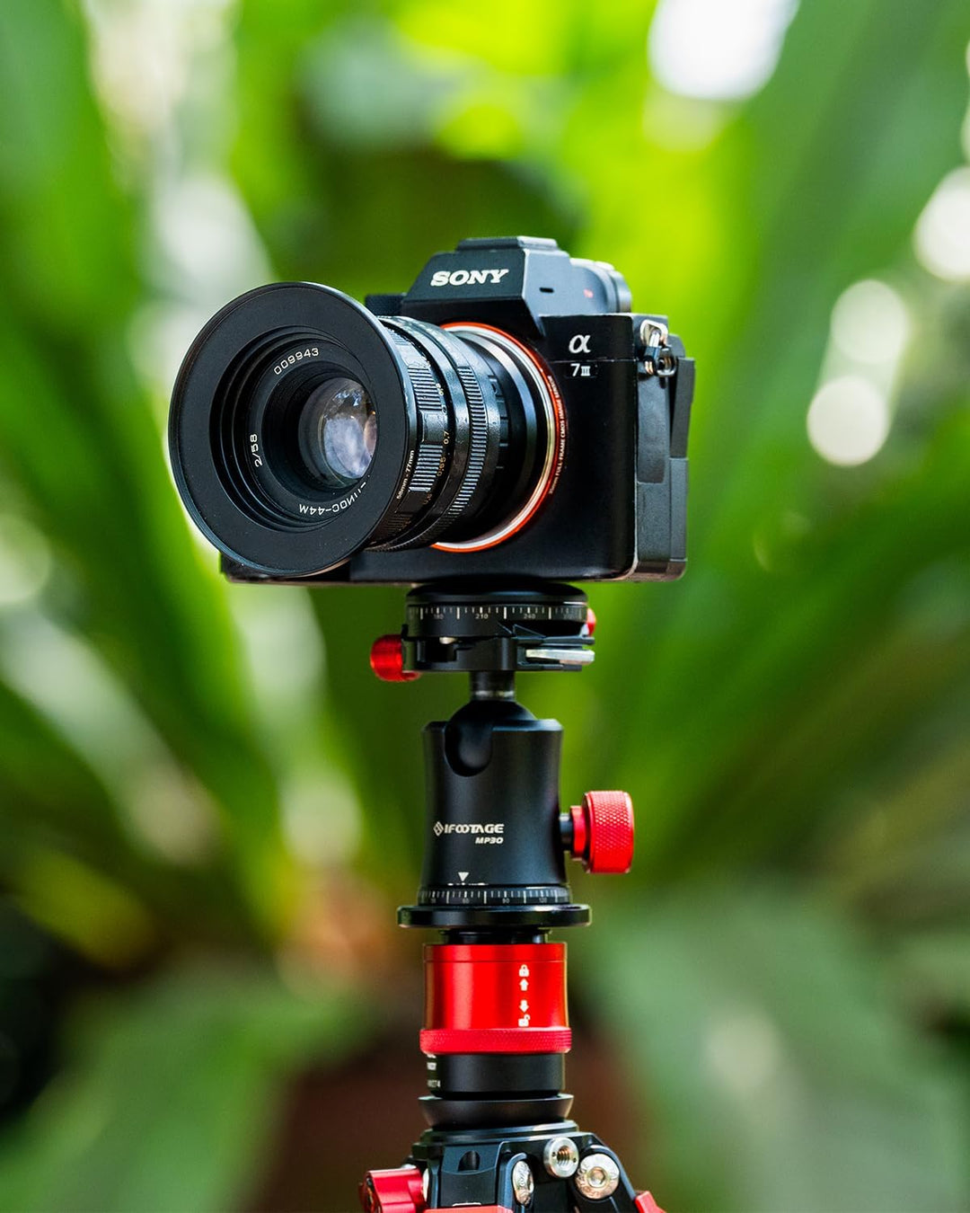 Die IFOOTAGE Cobra 3 Quick Release Mount CB3-QRM01