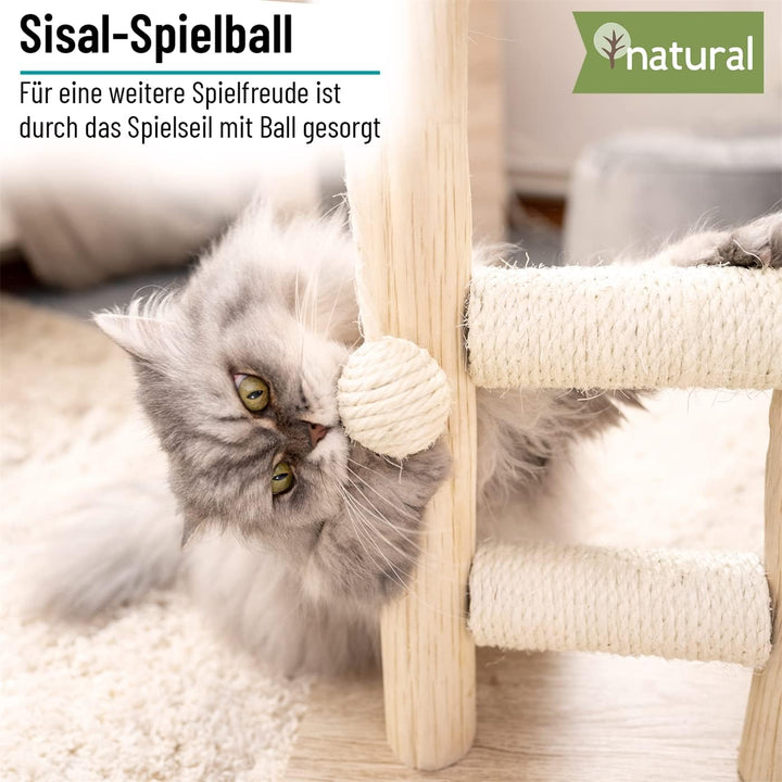 VOSS.pet Kratzbaum Morea 43 – Premium Kratzsäule mit Naturholz vom Tanoak Baum, Katzenkratzbaum für