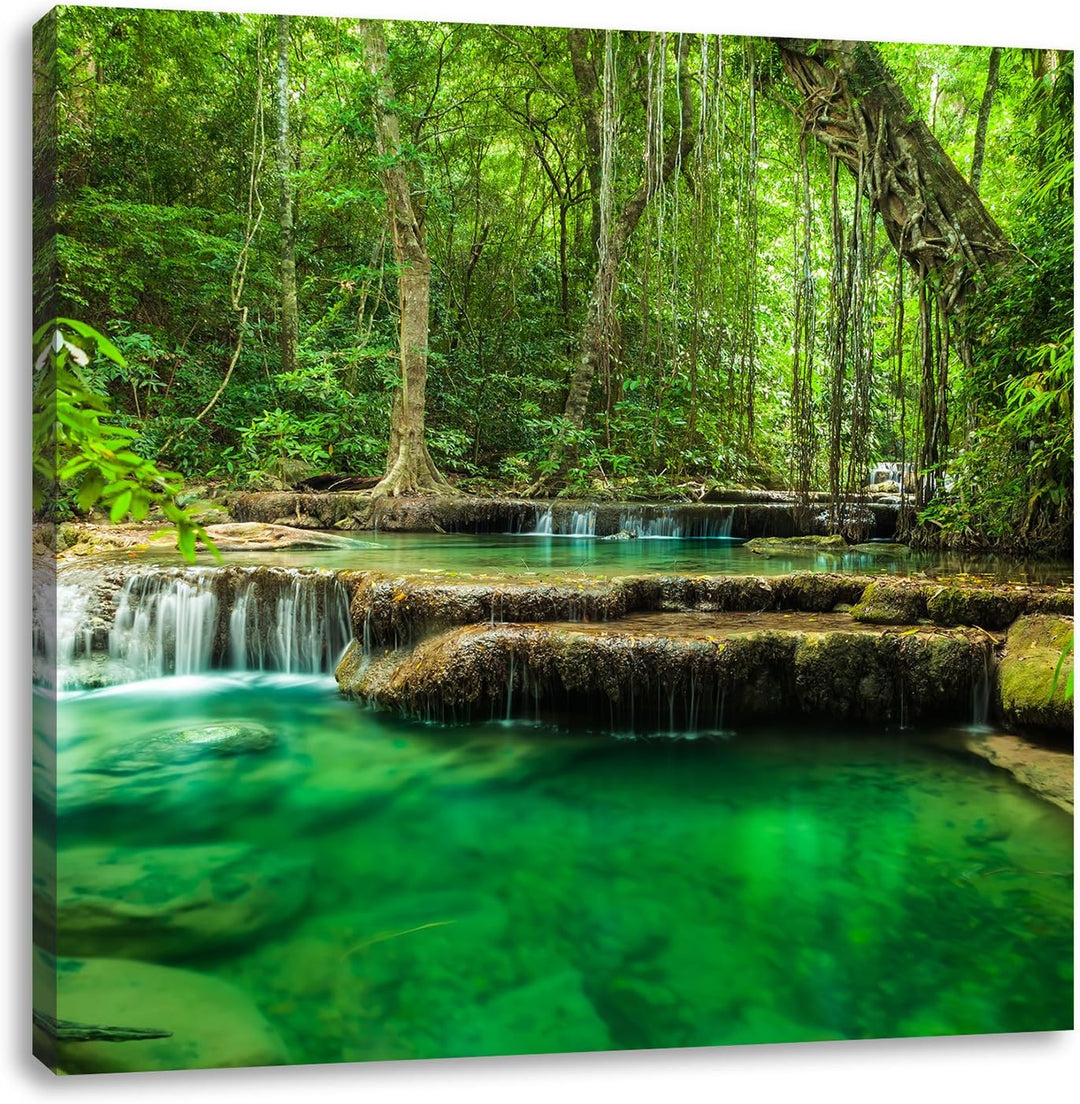 Tropischer Fluss, Format: 70x70 auf Leinwand, XXL riesige Bilder fertig gerahmt mit Keilrahmen, Kuns