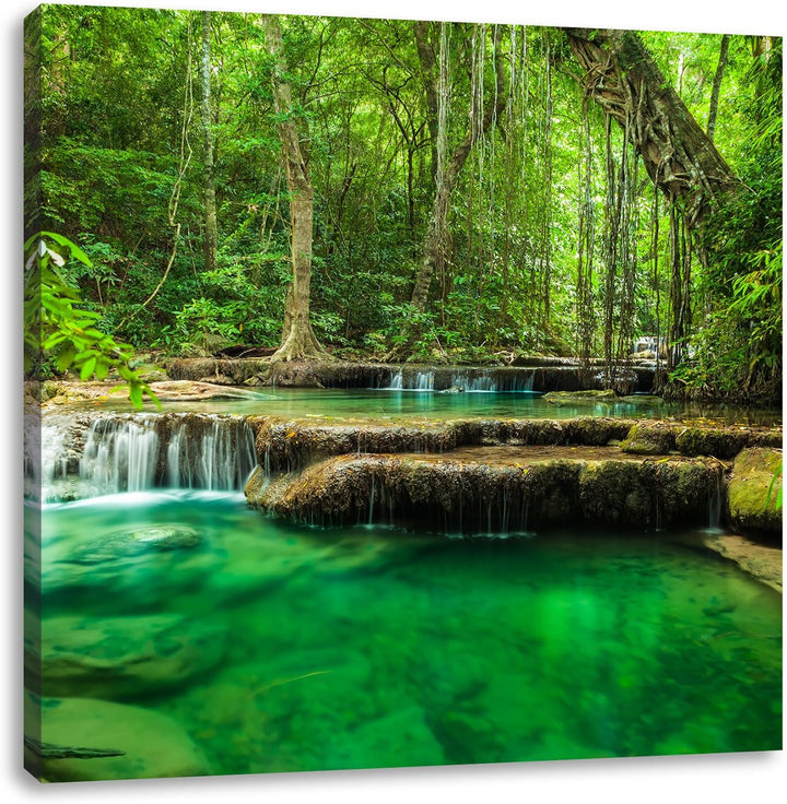 Tropischer Fluss, Format: 70x70 auf Leinwand, XXL riesige Bilder fertig gerahmt mit Keilrahmen, Kuns