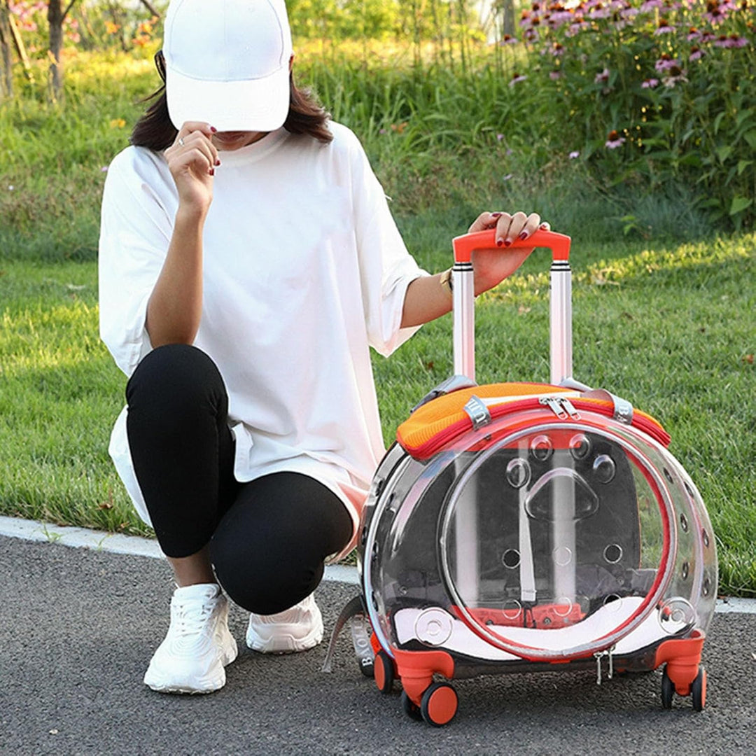 Katzentragetasche mit leisen Rädern, Rolltasche für Haustiere mit transparenten Belüftungslöchern, t