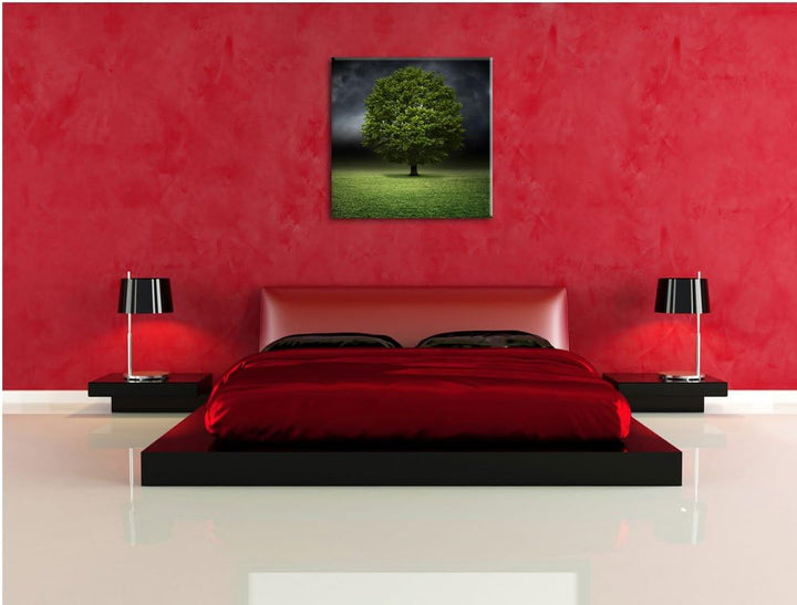 Pixxprint einzelner Baum auf grüner Wiese, Format: 70x70 auf Leinwand, 70x70