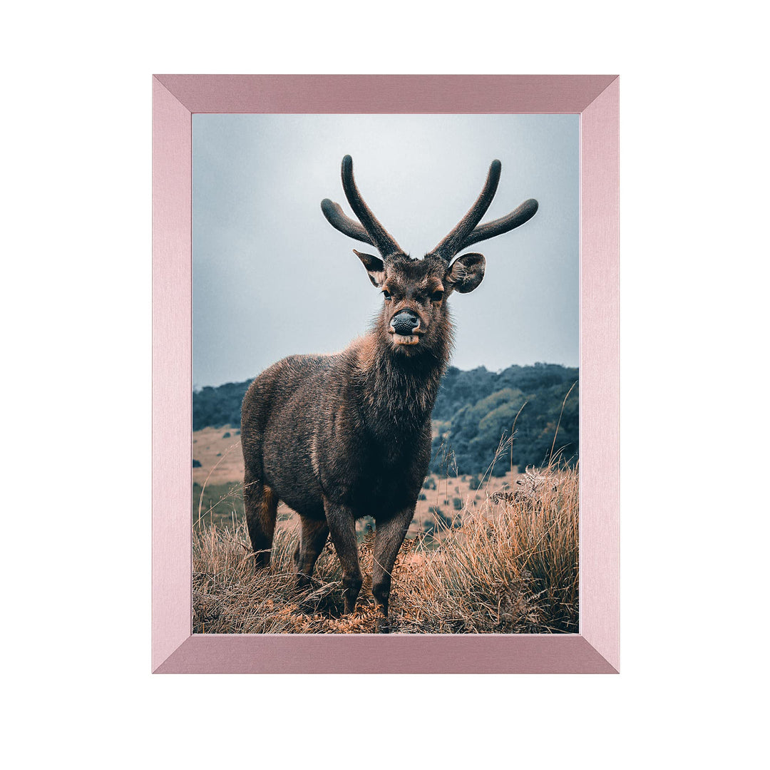 Rahmendesign24 Posterrahmen Milano 50x50 Roségold Fotorahmen, Wechselrahmen, Bilderrahmen, Puzzlerah