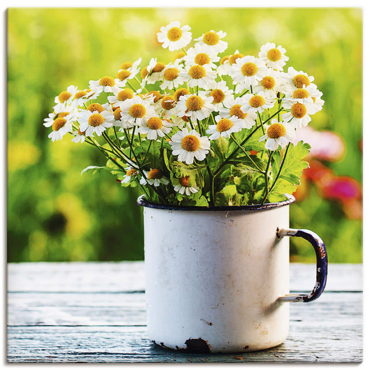 ARTland Leinwandbilder Wandbild Bild auf Leinwand 40x40 cm Botanik Blumen Gänseblümchen Fotografie G