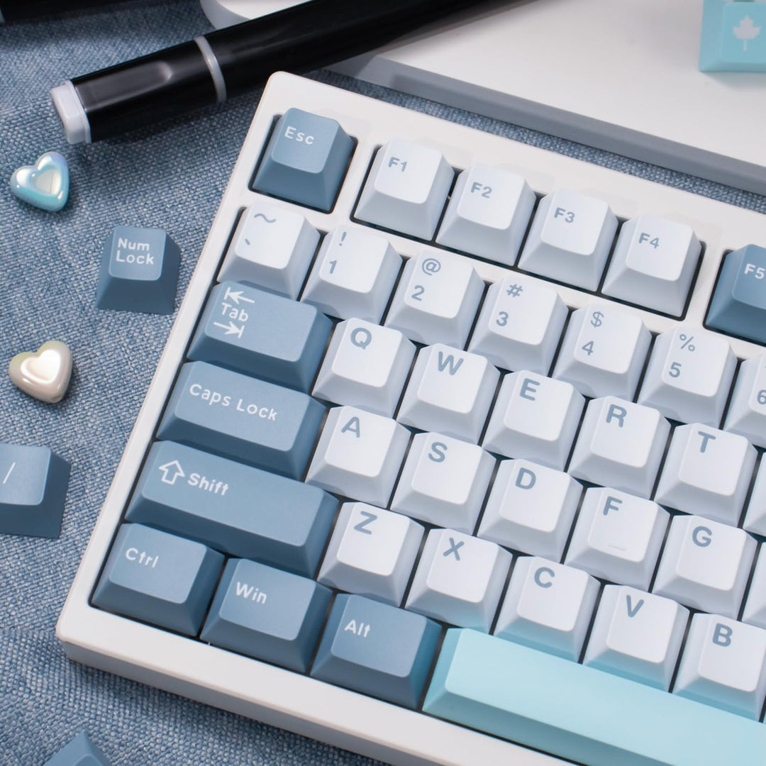 172 Tasten Double Shot Shoko Tastenkappen Cherry Profile Fit for 61/64/87/104/108 Cherry Mx Switches