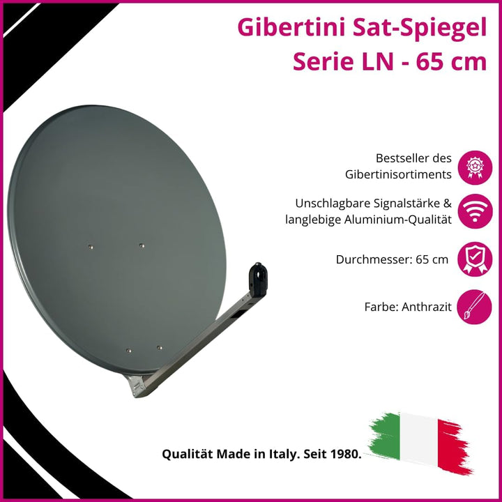 Gibertini OP65 L, 65cm Spiegel, Anthrazit