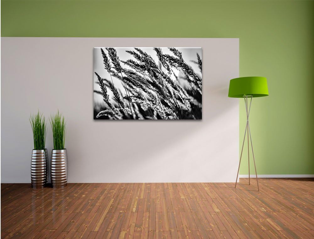 Pixxprint Schilf / 100x70cm Leinwandbild bespannt auf Holzrahmen/Wandbild Kunstdruck Dekoration, 100