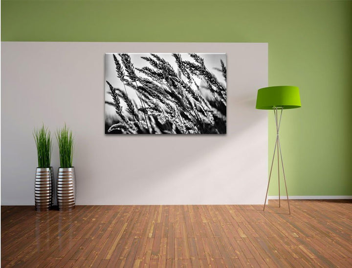 Pixxprint Schilf / 100x70cm Leinwandbild bespannt auf Holzrahmen/Wandbild Kunstdruck Dekoration, 100