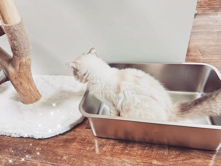 IKITCHEN Grosse Katzentoilette Edelstahl(50×35×15cm), Litter Box Katzenklo, Katzen und Kaninchen Met