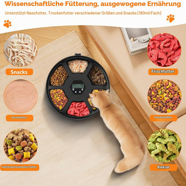 Futterautomat Katze Nassfutter, 6 Mahlzeiten Nassfutterautomat für Katzen mit 2 Kühlakkus, Programmi