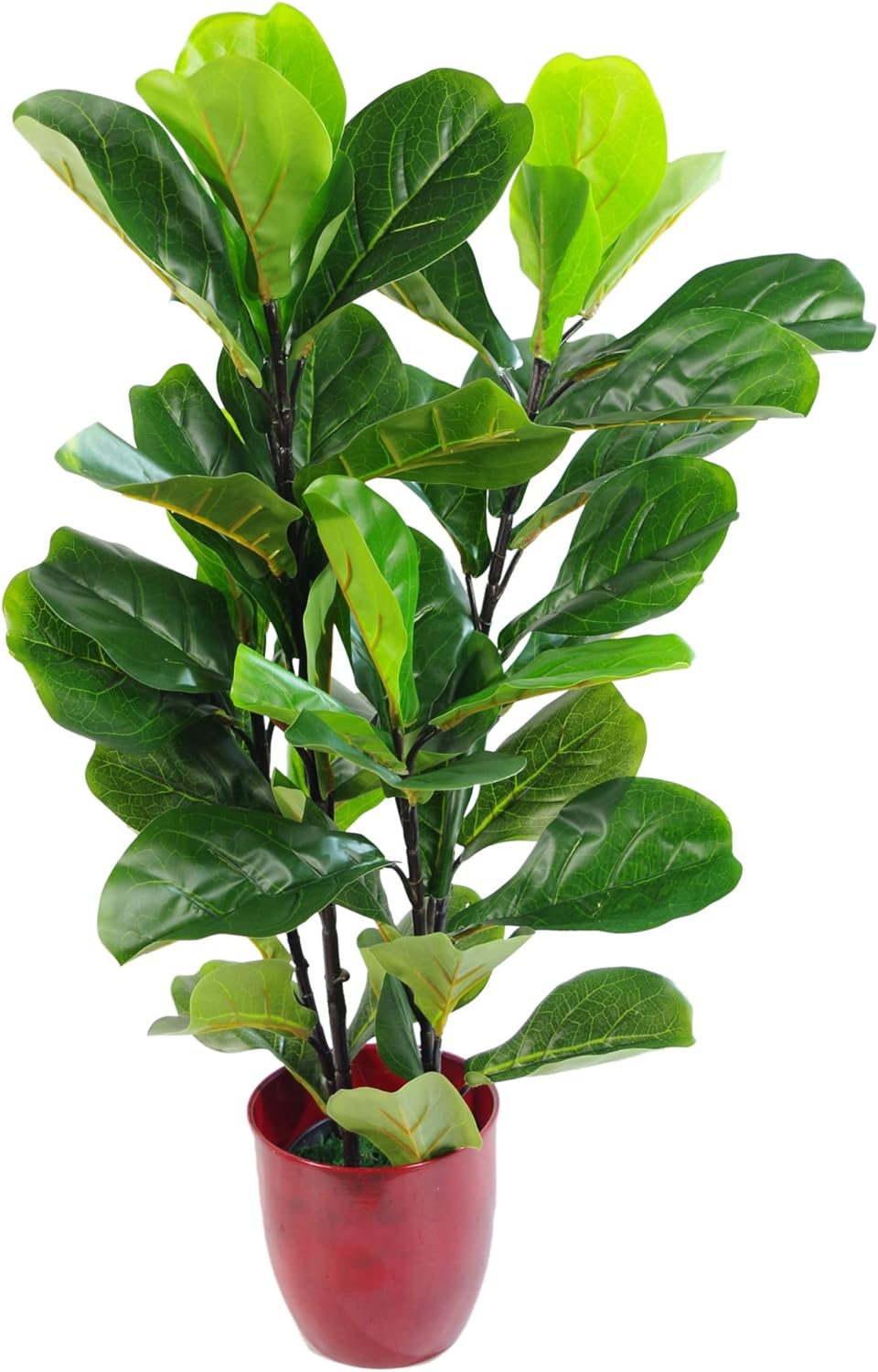 Leaf Design UK Künstliche Pflanze Fiddle Fig Baum, schwarzer Kunststofftopf, 90 cm 90cm (3ft) Fiddle