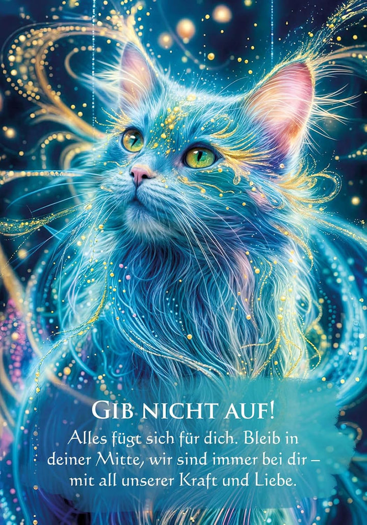 Spirit Guides – Orakel der Seelenbegleiter und Lichtwesen: - Set mit Buch und 40 Karten, Taschenbuch